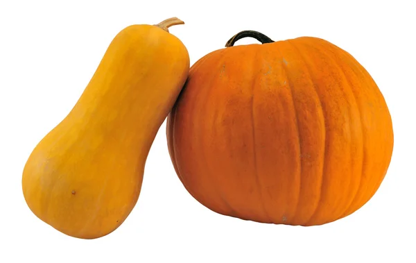 stock image Two pumpkins