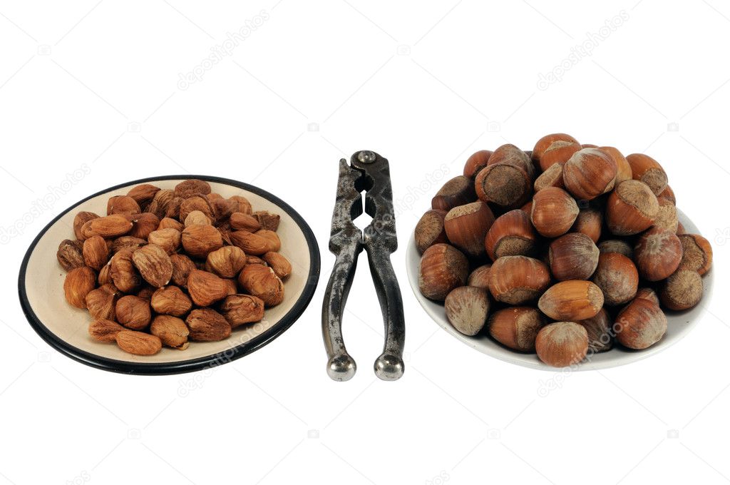 Filbert and nuts