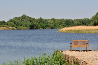 Bench and lake clipart