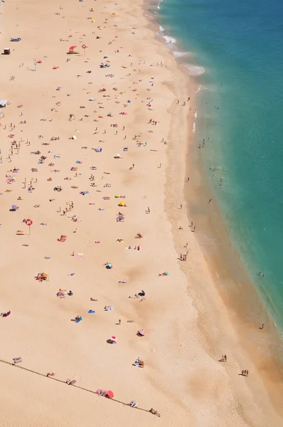 stock image Beach