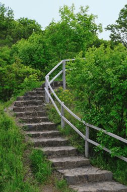 Stairs in the forest clipart