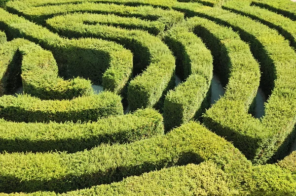 Labyrinth lizenzfreie Stockbilder