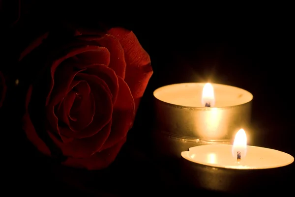 Розы и свечи — стоковое фото