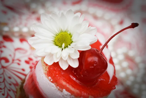 Sweet fruit red cake with cherry and white camomile — Stock Photo, Image