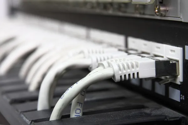 UTP мережні кабелі — стокове фото