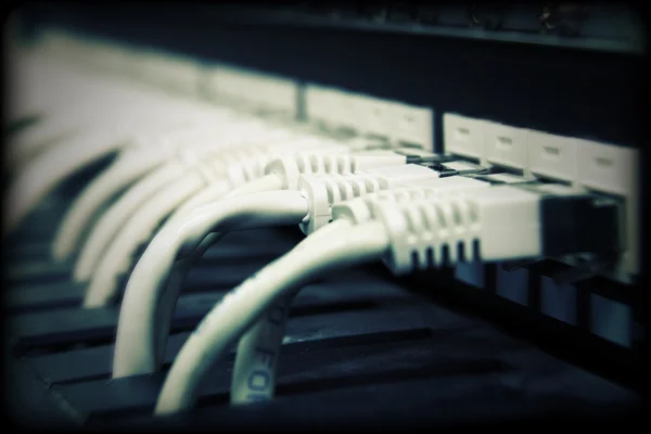 Kable sieciowe UTP — Zdjęcie stockowe