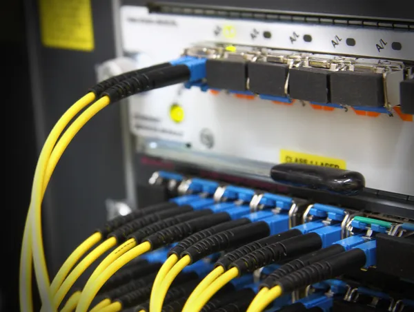 Fiberoptisk kabel ansluten till routern hamnar Stockbild