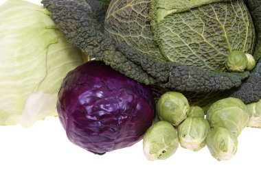 Cabbages clipart