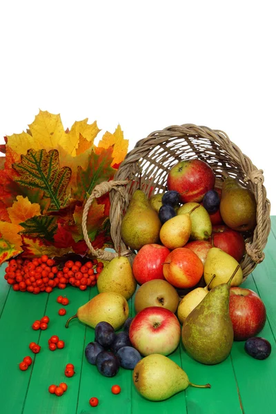 stock image Basket of fruit