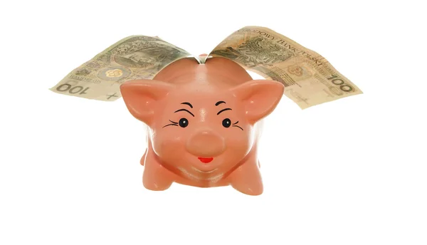Piggy з грошима — стокове фото