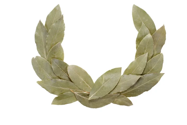 stock image Laurel wreath