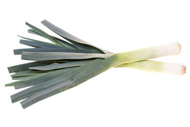 Leek clipart