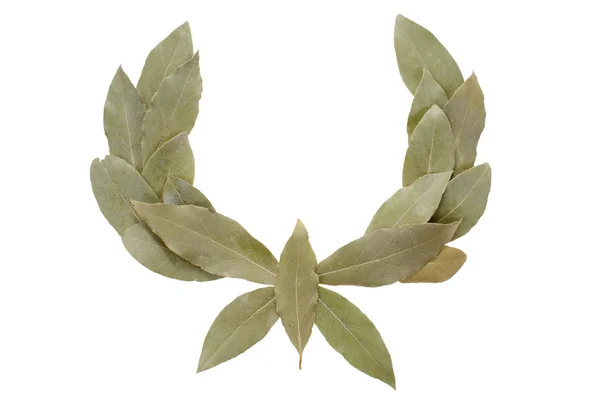 stock image Laurel wreath