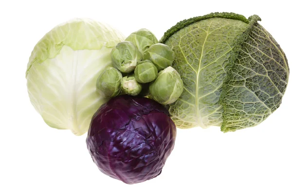 Cabbages — Stock Photo, Image