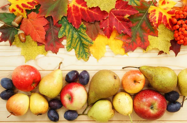 Frutta e foglie — Foto Stock