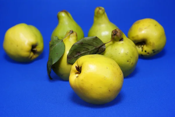 Quince — Stok Foto