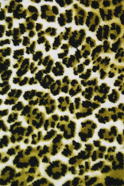 Sfondo leopardato — Foto Stock
