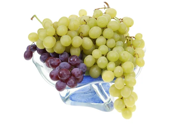 Clústeres de uva —  Fotos de Stock