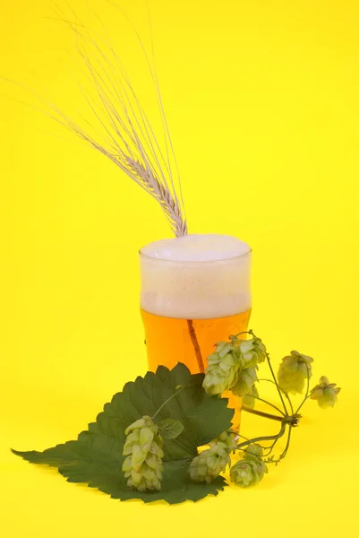 Cerveza —  Fotos de Stock