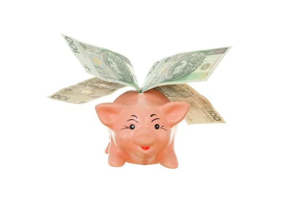 Piggy avec de l'argent — Photo