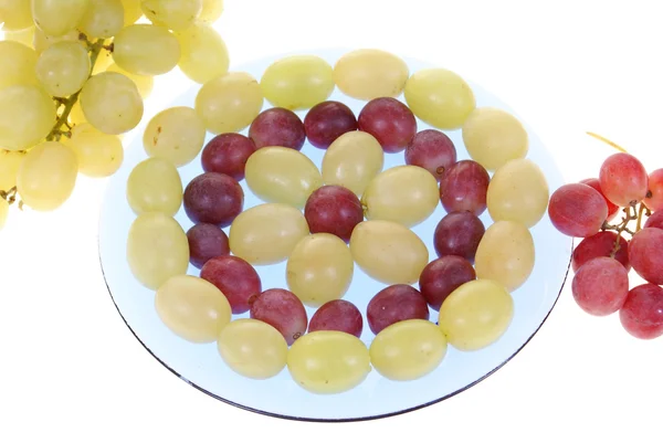 Grappes de raisins — Photo