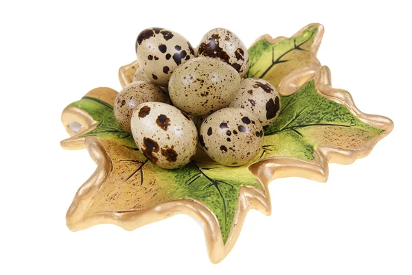 메 추 라 기의 달걀 — 스톡 사진