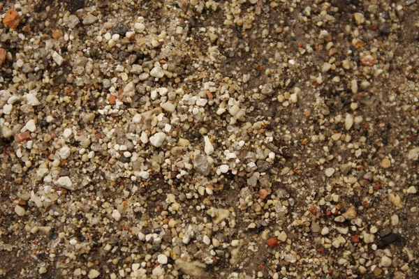 Άμμο δομή砂结构 — 图库照片