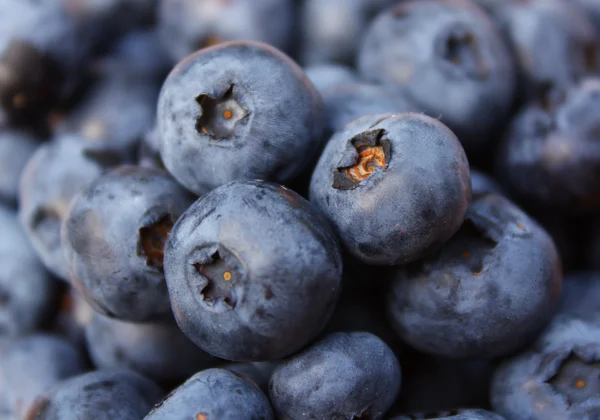 stock image Blueberry