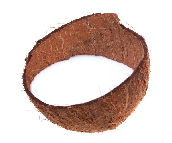 Kokosový shell s mlékem — Stock fotografie