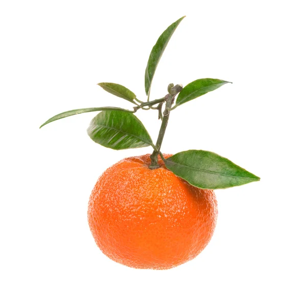 Fresh tangerine — Stock Photo, Image