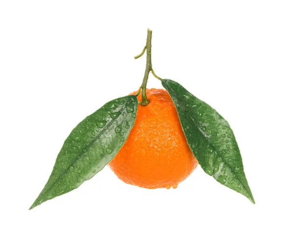 Tangerine avec gouttes d'eau — Photo