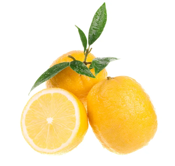 新鲜的柠檬 — 图库照片