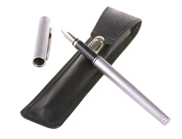 Grey fountain pen with leather case — Stock Photo, Image