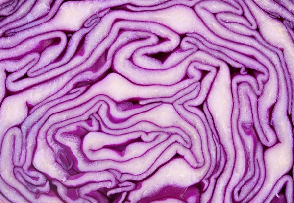 Cut red cabbage close-up — Stock Photo, Image