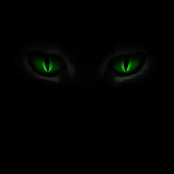 Zelené kočičí oči — Stock fotografie