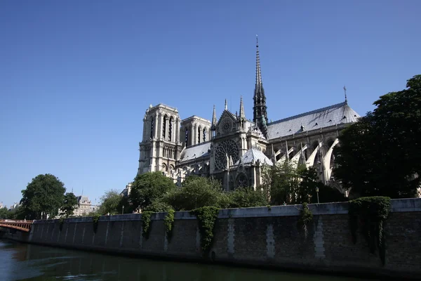 Notre dame de Paris