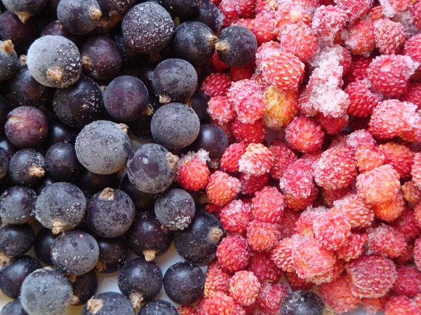 Freeze strawberry & blackberry — Stock Photo, Image