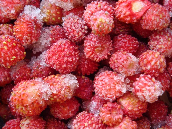 冷冻草莓 — 图库照片