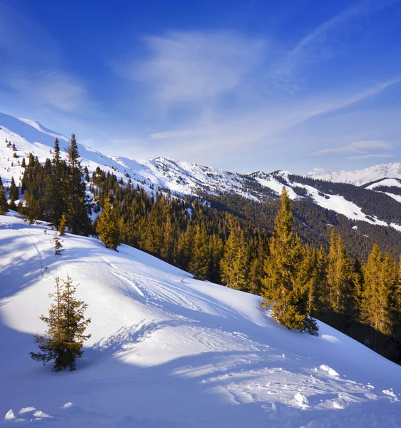 Declive de esqui . — Fotografia de Stock