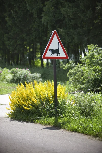 stock image Road warning sign - cats are crossing here