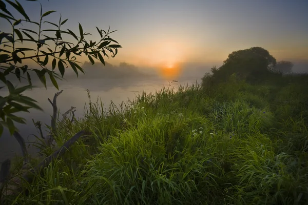 Dawn in a fog on the river. — Stock Photo, Image
