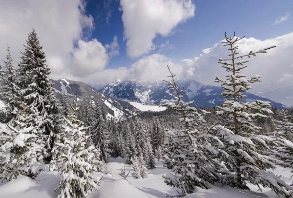 Winter day in the Alpes. — Stock Photo, Image