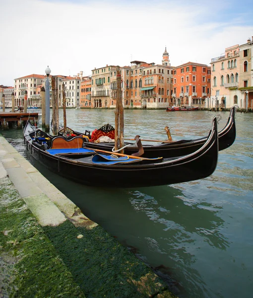 베네치아 — 스톡 사진