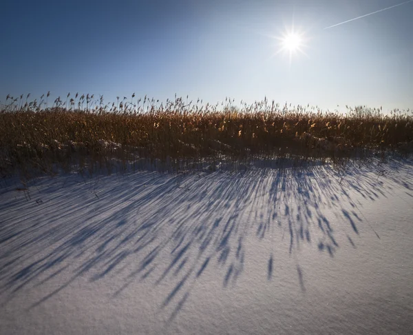 Winter sun. — Stock Photo, Image