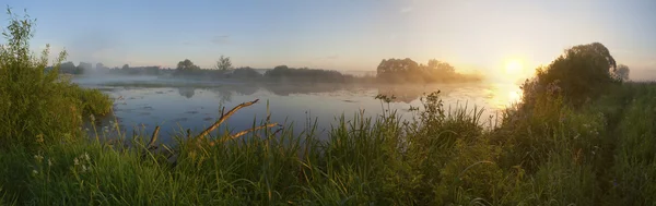 Dawn i en dimma vid floden. — Stockfoto