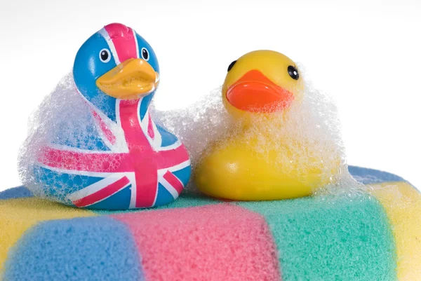 stock image Rubber duck