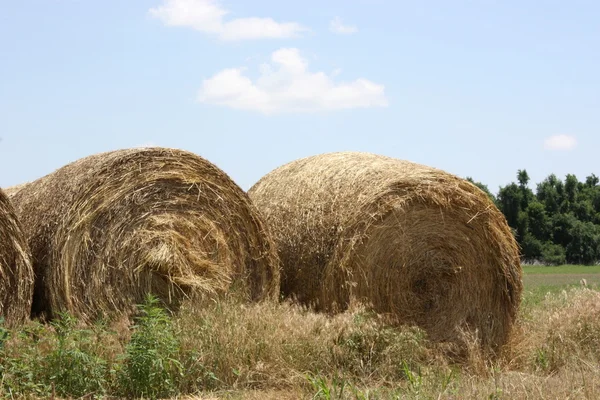 Colorful Country Hay Bales. — Stock Photo, Image