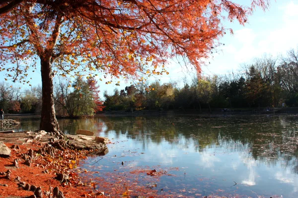 Kolory jesieni Obrazek Stockowy