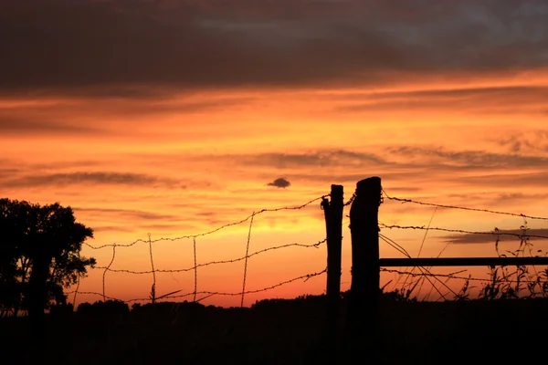 Stängslet linjen sunset — Stockfoto
