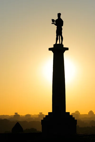 Статуя Калемегдана Виктора — стоковое фото
